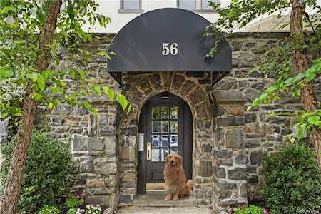 56 W Pondfield Rd #2A Bronxville, NY 10708