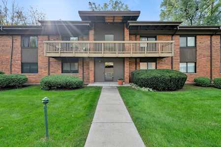 481 Duane Terrace #B1 Glen Ellyn, IL 60137