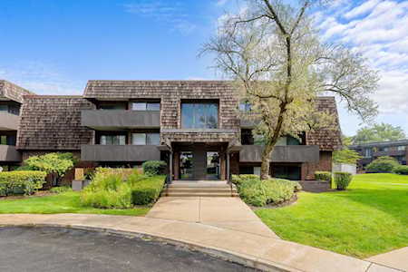 513 Timber Ridge Dr #208 Carol Stream, IL 60188