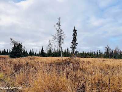 000 Handcart Rd Anchor Point, AK 99556