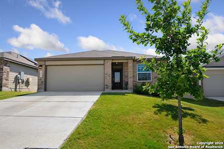 2457 Arctic Warbler New Braunfels, TX 78130