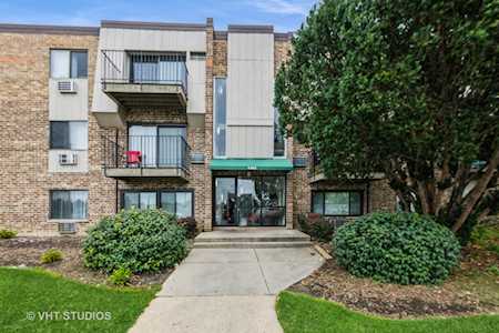 1493 N Winslowe Dr #303 Palatine, IL 60074
