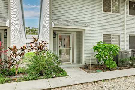 500 New York Ave #7 Dunedin, FL 34698