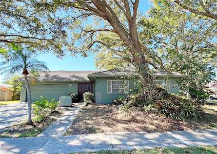 175 Patty Ann Blvd Palm Harbor, FL 34683