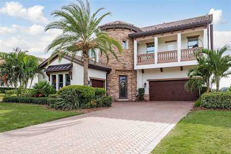 3542 Galleria Ave Palm Harbor, FL 34683