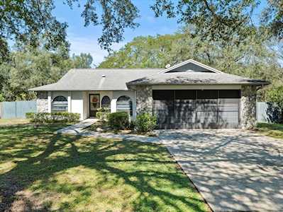 23241 Shining Star Dr Land O Lakes, FL 34639