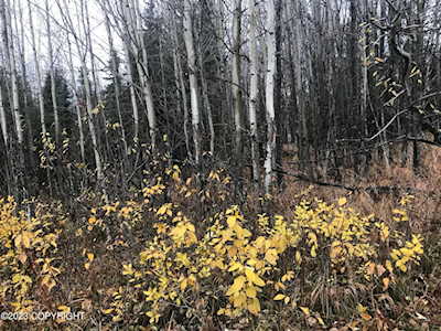L3 Sterling Highway Soldotna, AK 99669