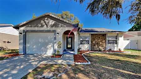 7537 Mitchell Ranch Rd New Port Richey, FL 34655