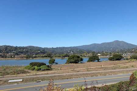 16 Eucalyptus Knoll Street Mill Valley, CA 94941