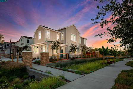 101 Live Oak Lane Pleasant Hill, CA 94523