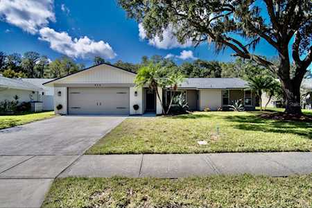 424 Lakeview Dr Oldsmar, FL 34677