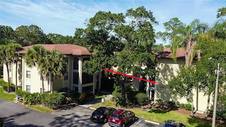 3423 Mermoor Dr #210 Palm Harbor, FL 34685