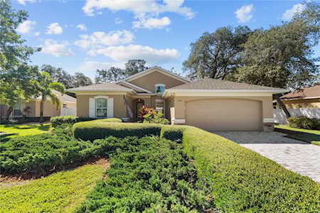 1574 River Ct Tarpon Springs, FL 34689