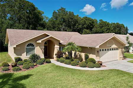 1822 Kinsmere Dr Trinity, FL 34655
