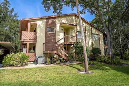2269 Beacon Place Dr #D Safety Harbor, FL 34695