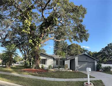 6972 Cedar Ridge Dr N Pinellas Park, FL 33781