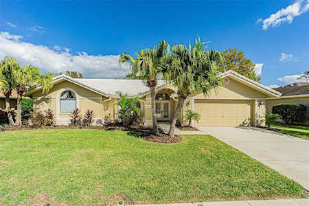 1731 Stable Trl Palm Harbor, FL 34685