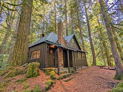 79128 E Road 35A Lot 42 Government Camp, OR 97028