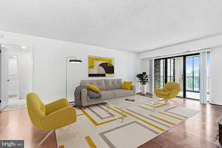 5903 Mount Eagle Dr #509 Alexandria, VA 22303