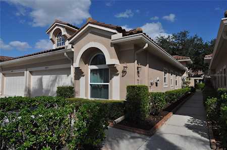 3873 Timber Ridge Ct Palm Harbor, FL 34685