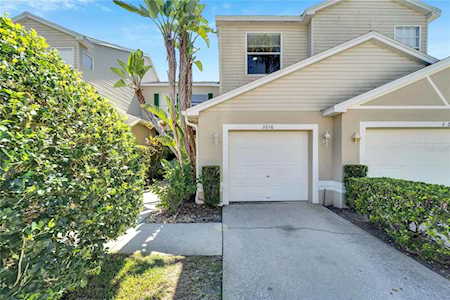 3216 Audubon Ct Tarpon Springs, FL 34688