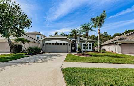 14530 Weeping Elm Dr Tampa, FL 33626