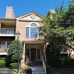 14200 Dove Creek Way #305 Sparks Glencoe, MD 21152