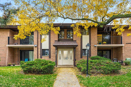 8101 Piers Dr #1807 Woodridge, IL 60517