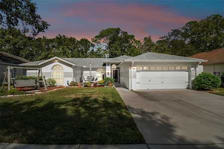 24219 Painter Dr Land O Lakes, FL 34639