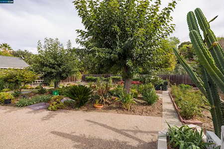 943 Santa Cruz Drive Pleasant Hill, CA 94523