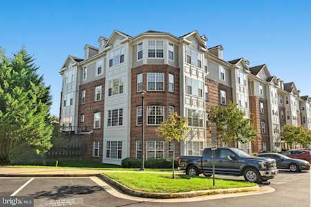 621 Cobblestone Blvd #305 Fredericksburg, VA 22401