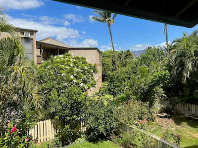 480 Kenolio Rd #8-203 Kihei, HI 96753