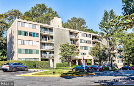 4360 Ivymount Ct #54 Annandale, VA 22003