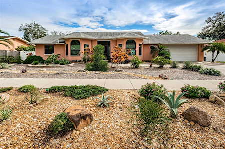 1017 Jamaica WAY Tarpon Springs, FL 34689