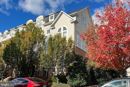 7139 Little Thames Dr Gainesville, VA 20155