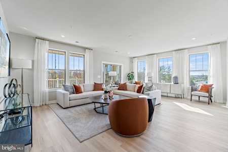 14156 Gypsum Loop Chantilly, VA 20151