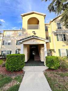 18245 Bridle Club Dr Tampa, FL 33647