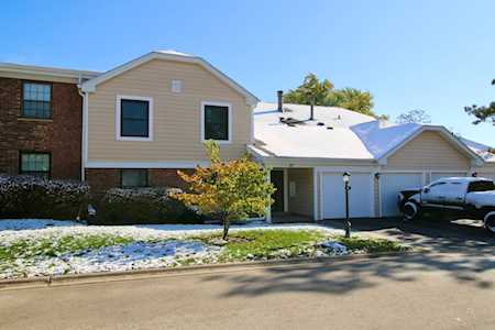 87 Marble Hill Ct #C2 Schaumburg, IL 60193