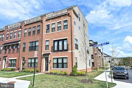22974 Clarence Walk Terrace Broadlands, VA 20148