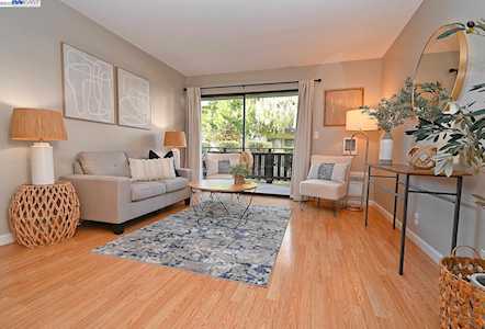 1435 Marchbanks Dr Walnut Creek, CA 94598