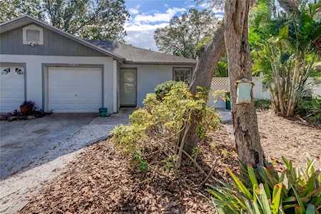 3705 Cheltenham Dr Palm Harbor, FL 34684