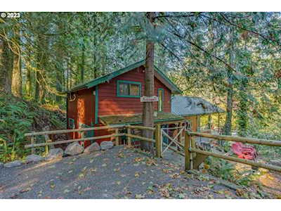 17604 NE Cole Witter RD Battle Ground, WA 98604