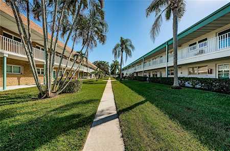 5217 81st St N #8 St. Petersburg, FL 33709