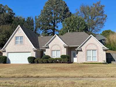6190 Molsonwood Cv Bartlett, TN 38135