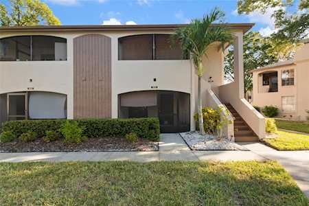 3021 Bonaventure CIRCLE #103 Palm Harbor, FL 34684