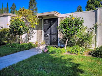 319 Avenida Carmel #B Laguna Woods, CA 92637