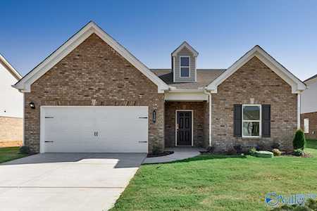 129 Mill View Drive New Market, AL 35761