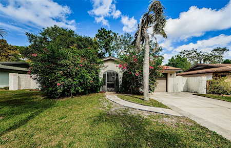80 Suncrest Dr Safety Harbor, FL 34695