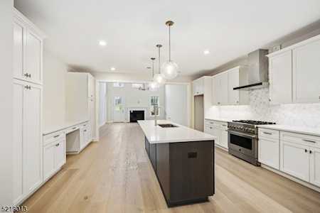10 Hawfinch Dr Berkeley Heights Twp., NJ 07922