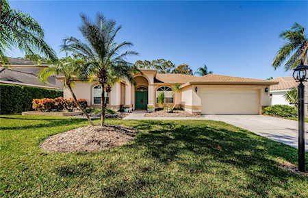 944 Belted Kingfisher Dr S Palm Harbor, FL 34683